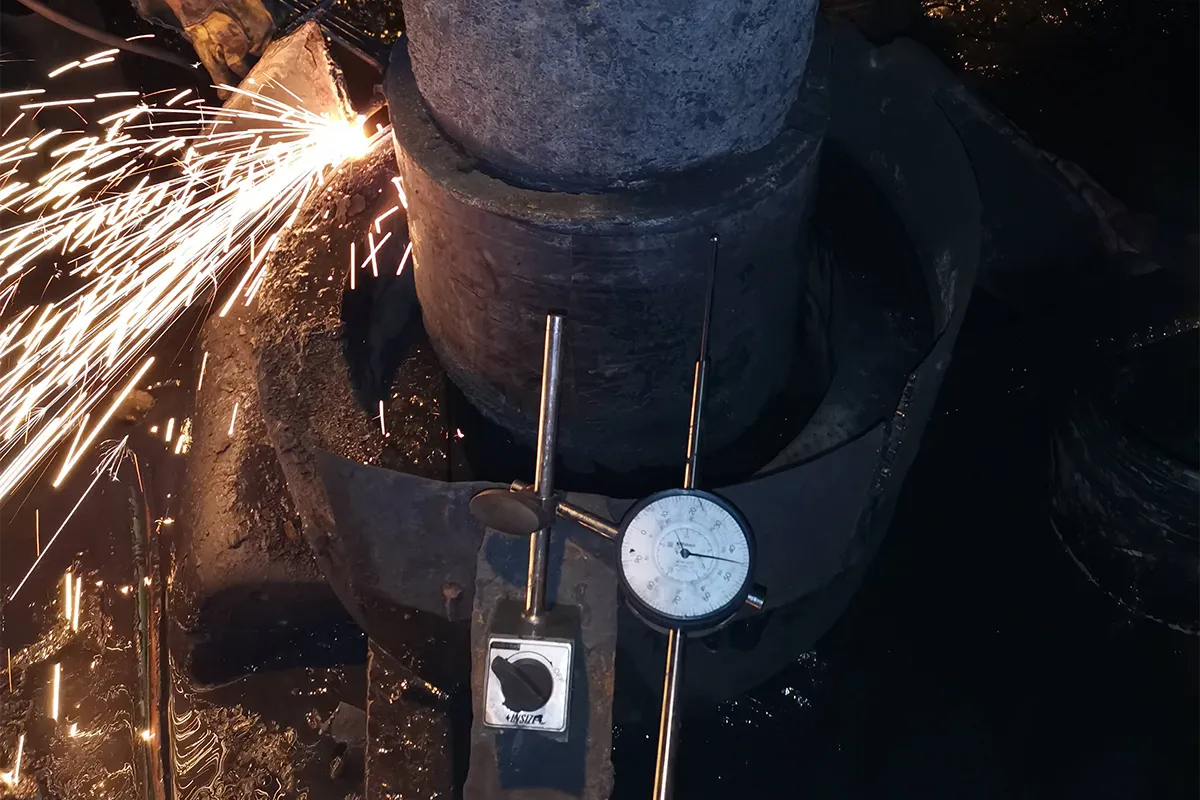 Servicio de Alineación